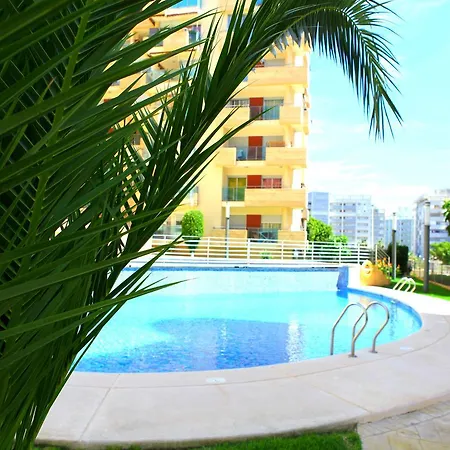 Alcotan * Villajoyosa